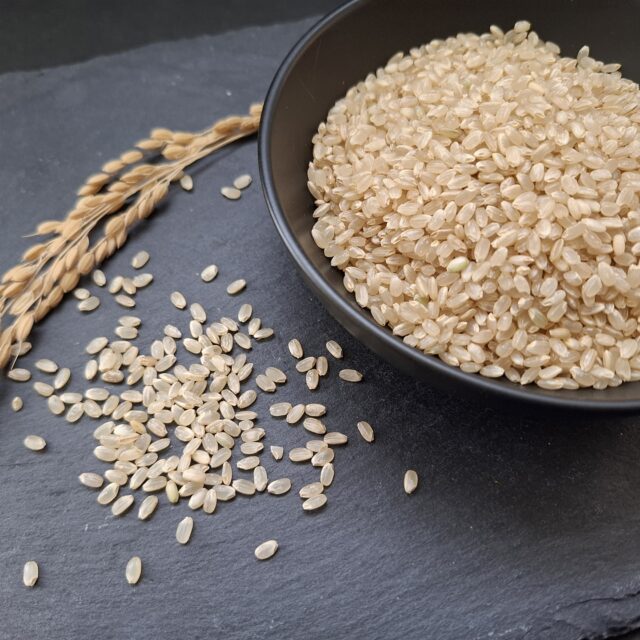 令和7年産コシヒカリ5kg（玄米）