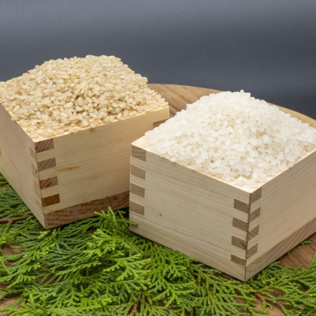 令和7年産コシヒカリMIX10kg