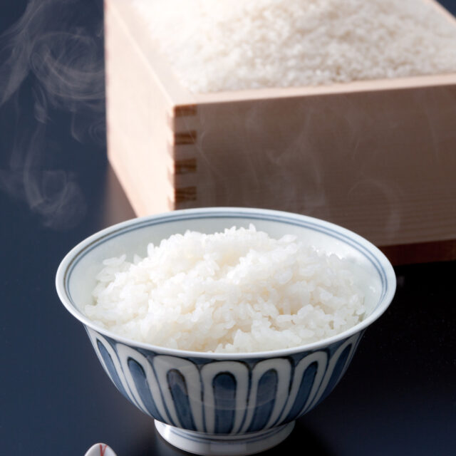 令和7年産コシヒカリ5kg